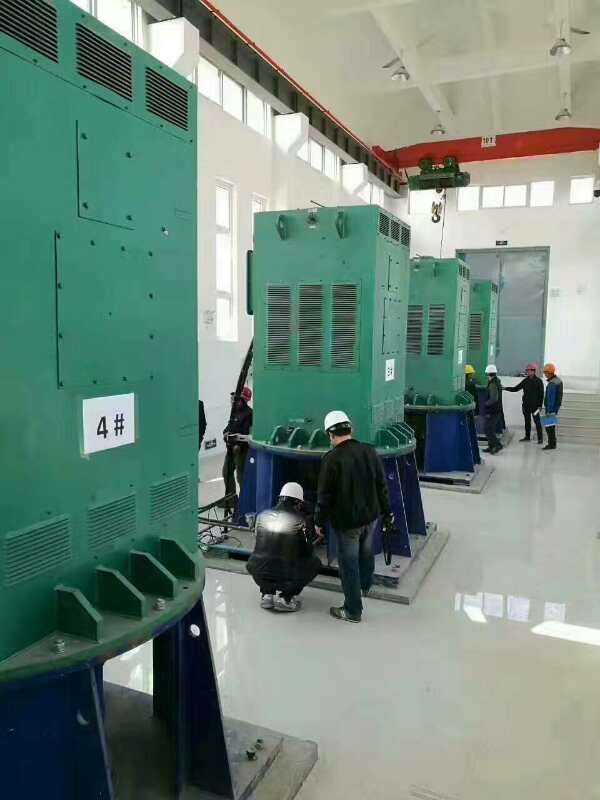禅城某污水处理厂使用我厂的立式高压电机安装现场